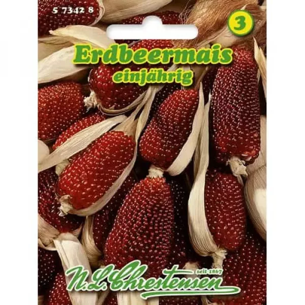 Sjeme ukrasnog kukuruza (tip jagoda)