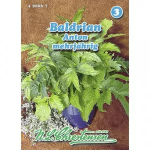Sjeme valerijane Anton
