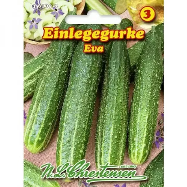 Sjeme krastavca Eva
