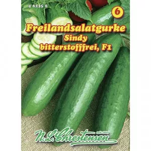 Sjeme krastavca Sindy