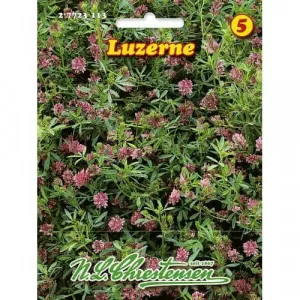 Sjeme lucerne