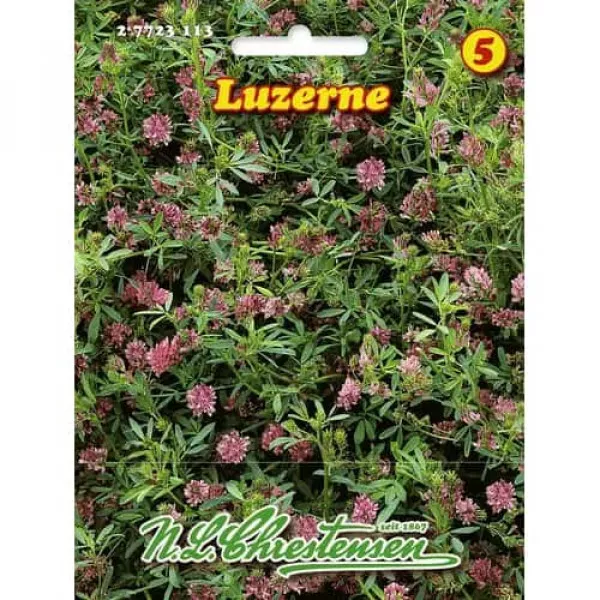 Sjeme lucerne Sjeme lucerne