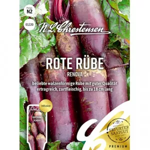 Sjeme cikle Renova