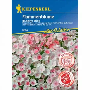 Sjeme floksa Blushing Bride