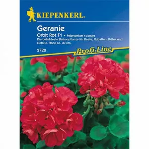 Sjeme pelargonije Orbit F1 crvena