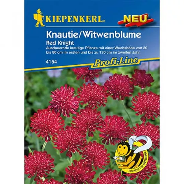 Sjeme knautije Red Knight