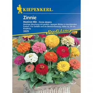 Sjeme cinije Musica
