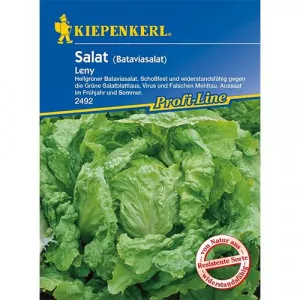 Sjeme salate Leny