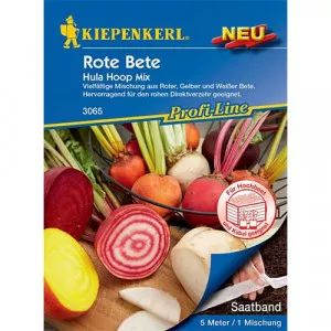 Sjeme cikle Hula Hoop – mješavina sorti