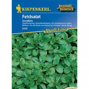 Sjeme matovilca (poljska salata) Juwallon