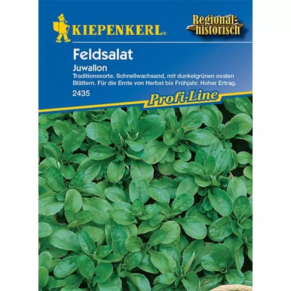 Sjeme matovilca (poljska salata) Juwallon