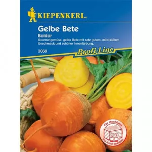 Sjeme žute cikle Boldor
