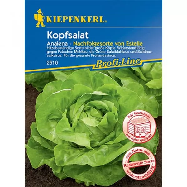 Sjeme zelene salate Analena