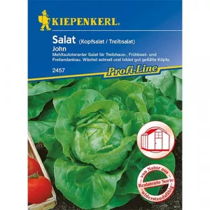 Sjeme zelene salate John