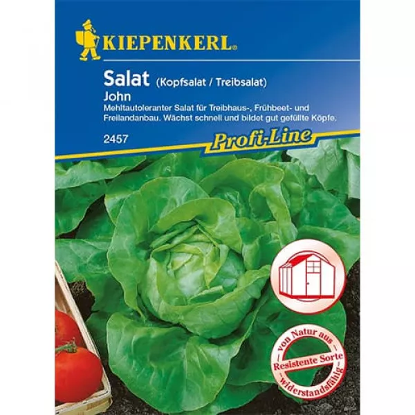 Sjeme zelene salate John