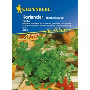 Sjeme korijandera Caribe
