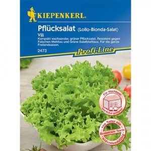 Sjeme lisnate salate Vili