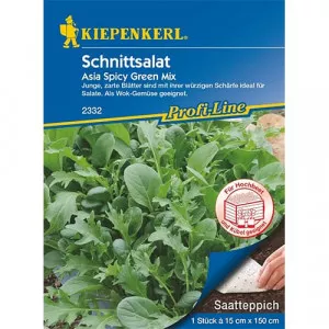Sjeme azijske salate Spicy Green mix