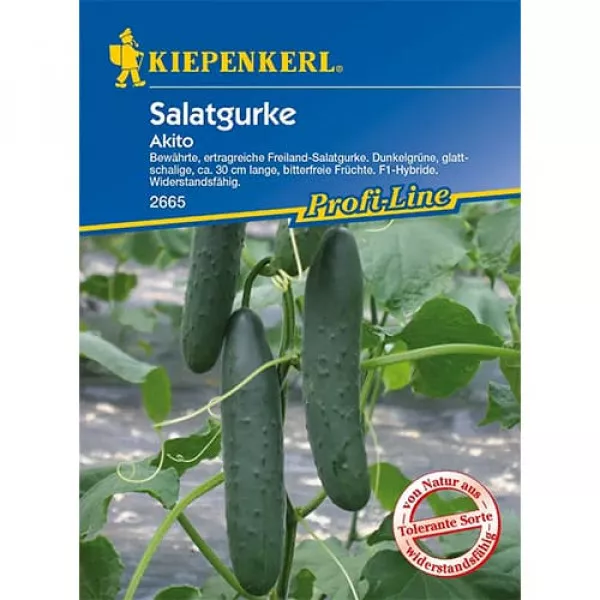 Sjeme salatnog krastavca Akito