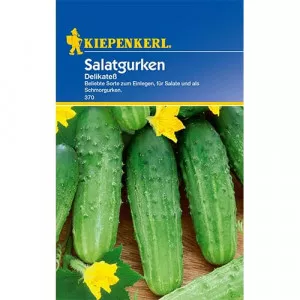 Sjeme salatnog krastavca Delikatess