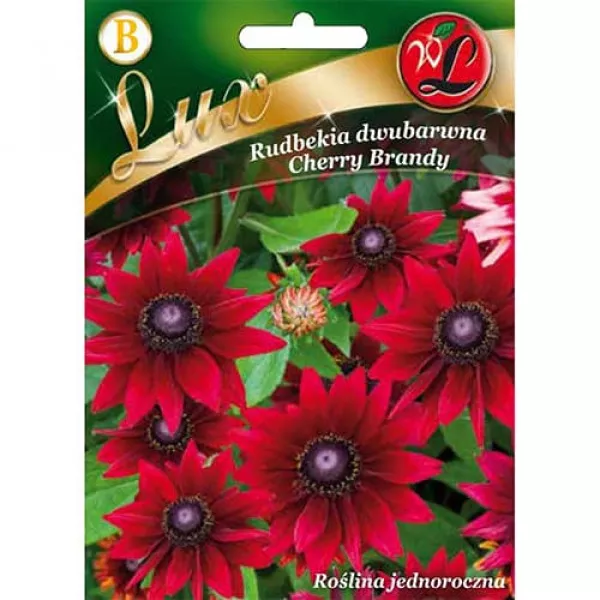 Sjeme rudbekije Cherry Brandy