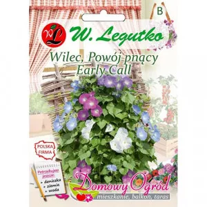Sjeme ipomeje Early Call
