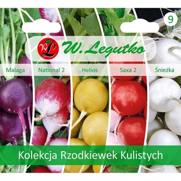 Sjeme kolekcije šarenih rotkvica, paket 5 sorti Sjeme kolekcije šarenih rotkvica, paket 5 sorti