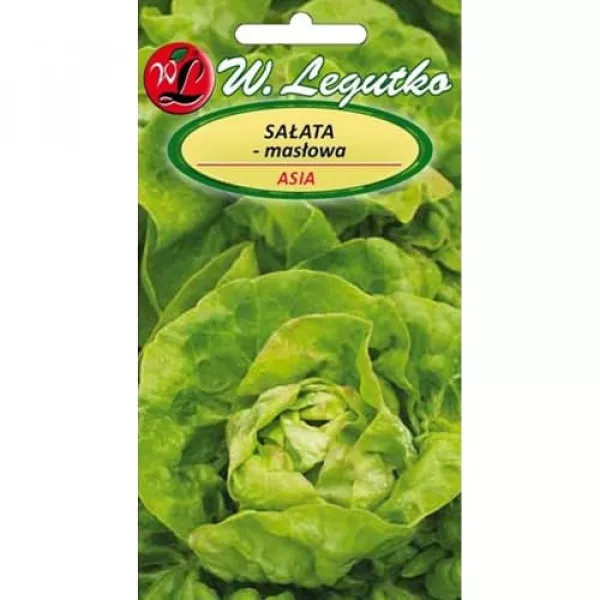 Sjeme zelene salate Asia