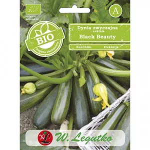 Sjeme tikvica Black Beauty