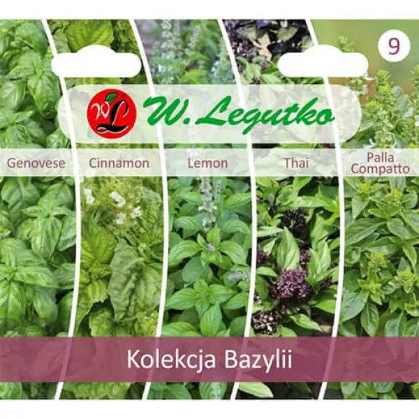 Sjeme kolekcije bosiljka, paket 5 sorti