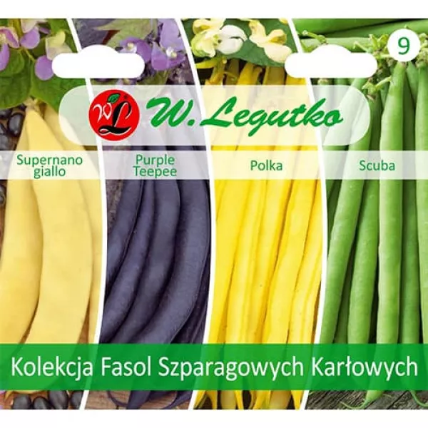 Sjeme kolekcije niskog graha, paket 4 sorte