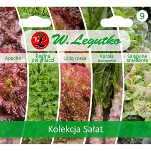 Sjeme kolekcije salate, paket 5 sorti