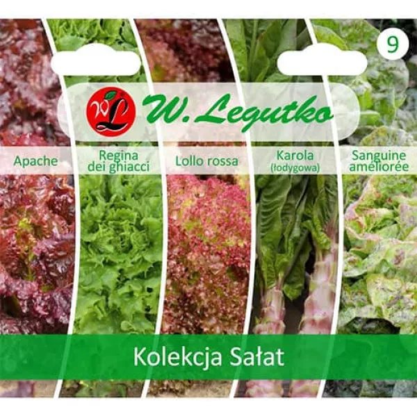 Sjeme kolekcije salate, paket 5 sorti