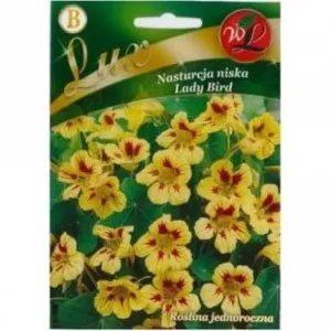Sjeme dragoljuba Lady Bird
