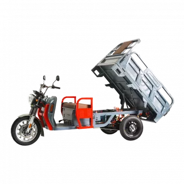 Električni tricikl ROA Cargo NC09 B