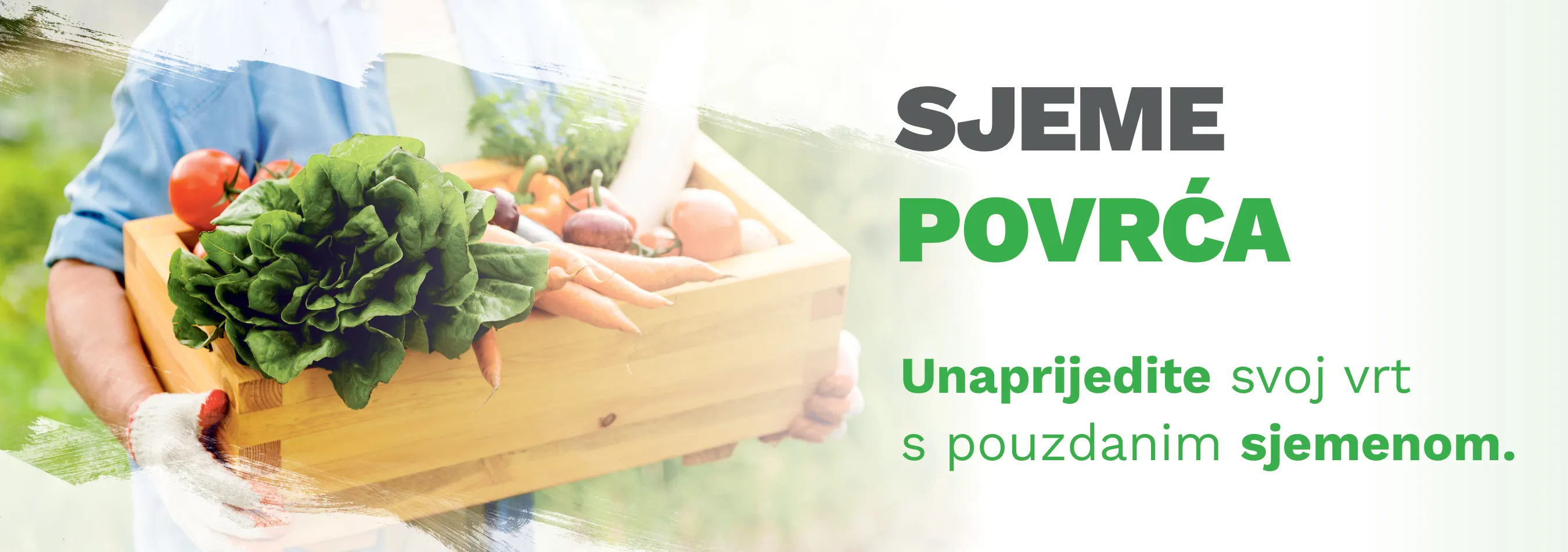 Sjemenke povrća
